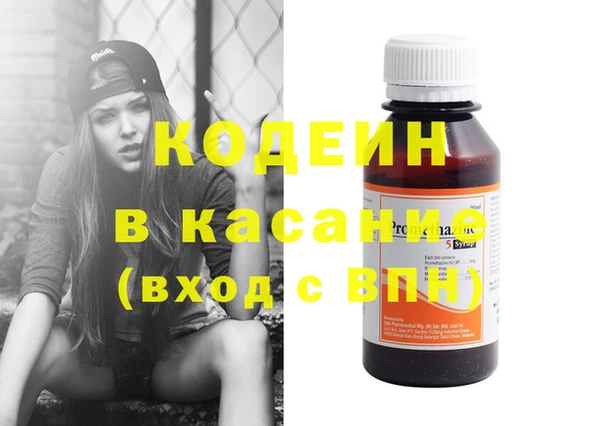 шишки Бородино