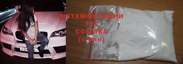 шишки Бородино
