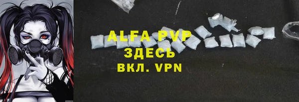 шишки Бородино