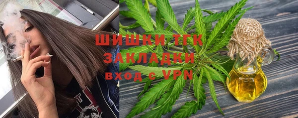 дурь Бронницы