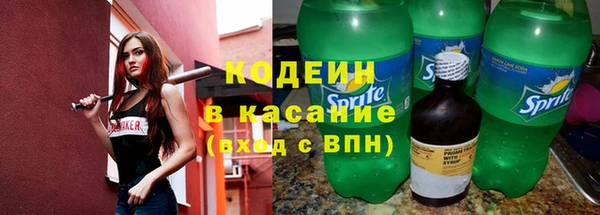 шишки Бородино